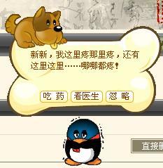 xmdy493f.jpg